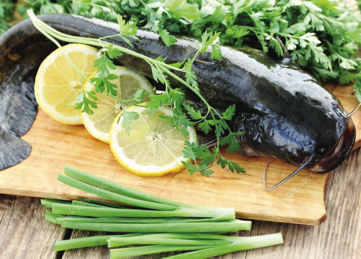 catfish source of protein from PREO Global catfish farm logos